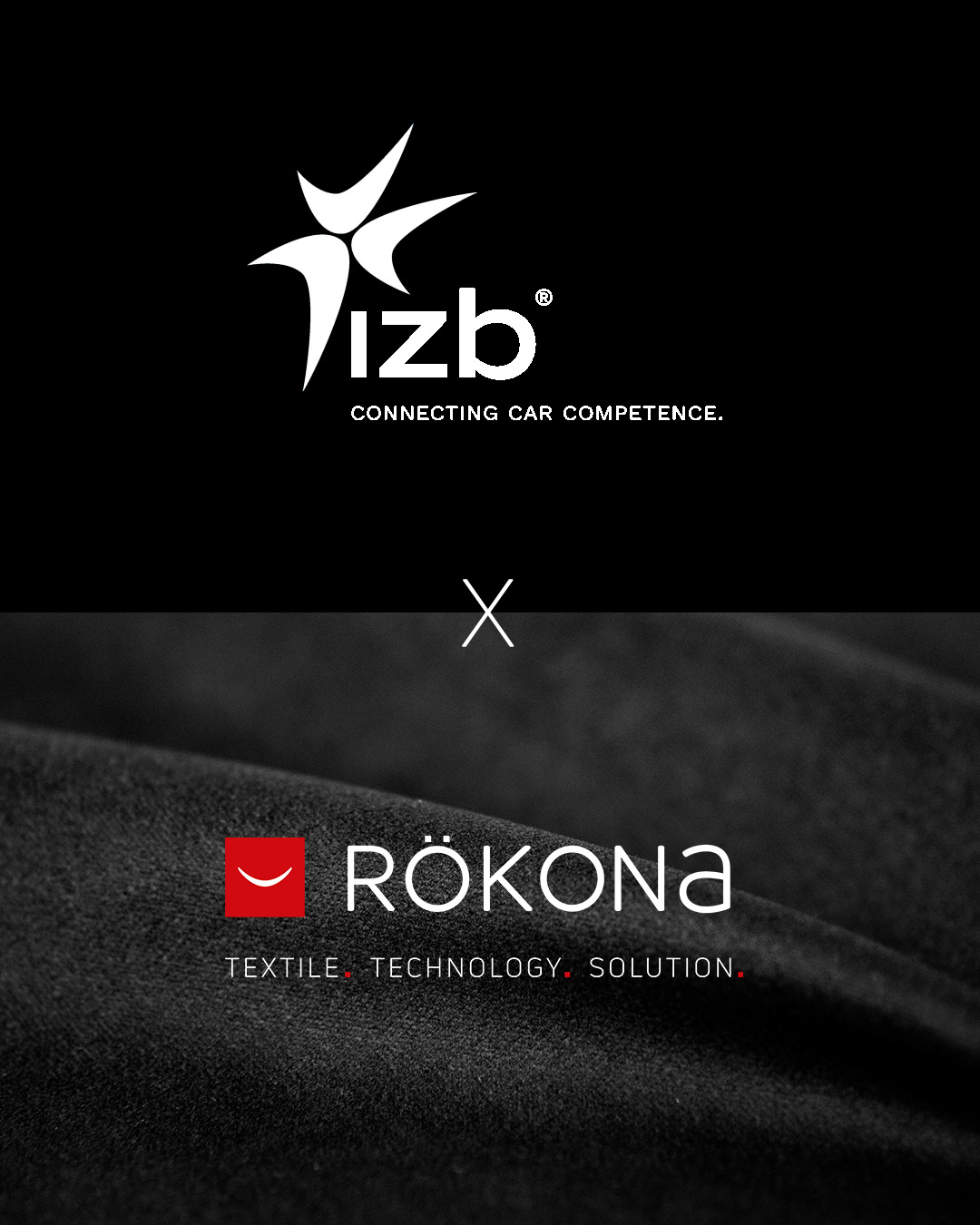 Rökona_IZB_Social_Media